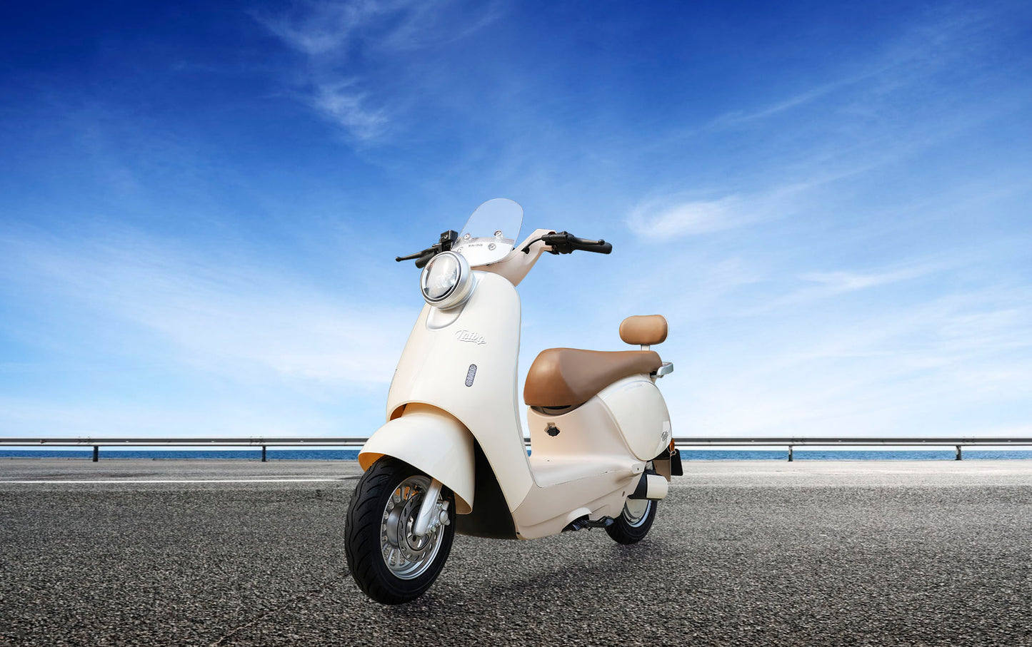 H303-Q80 Electric Motorcycle | CKD Complete Vehicle For Export