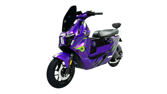 H311-Leo 1.0 Electric Motorcycle | CKD Complete Vehicle For Export