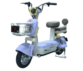 H361-MYZ Electric Motorcycle |CKD Complete Vehicle For Export