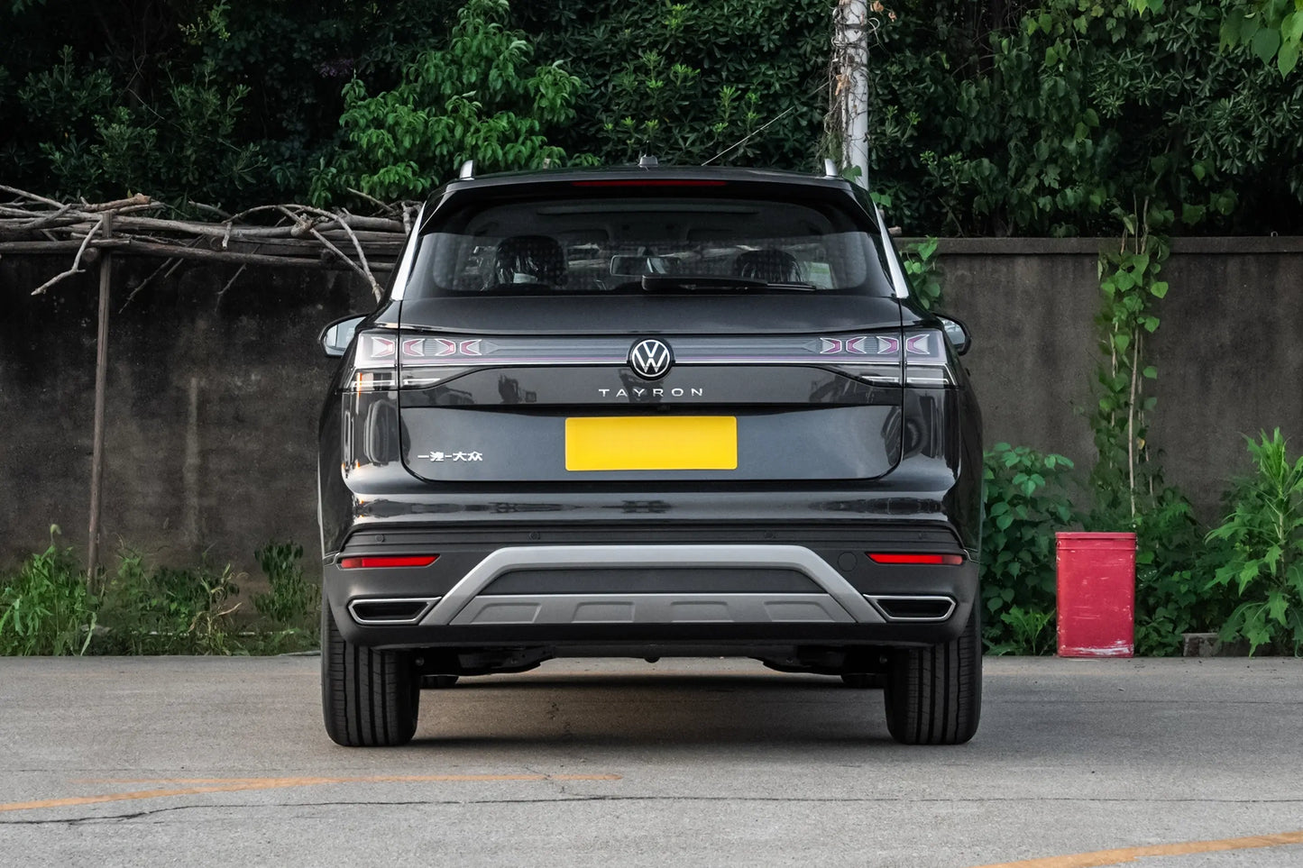 TAYRON  300TSI Shared Edition