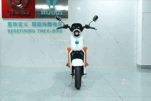 H301-520 Electric Motorcycle | CKD Complete Vehicle For Export