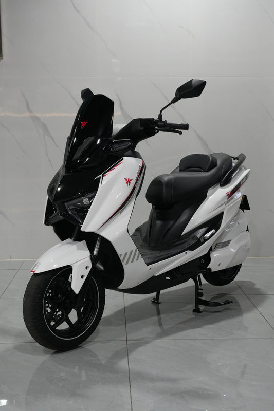 H310-Smilodon 2.0 Electric Motorcycle | CKD Complete Vehicle For Export