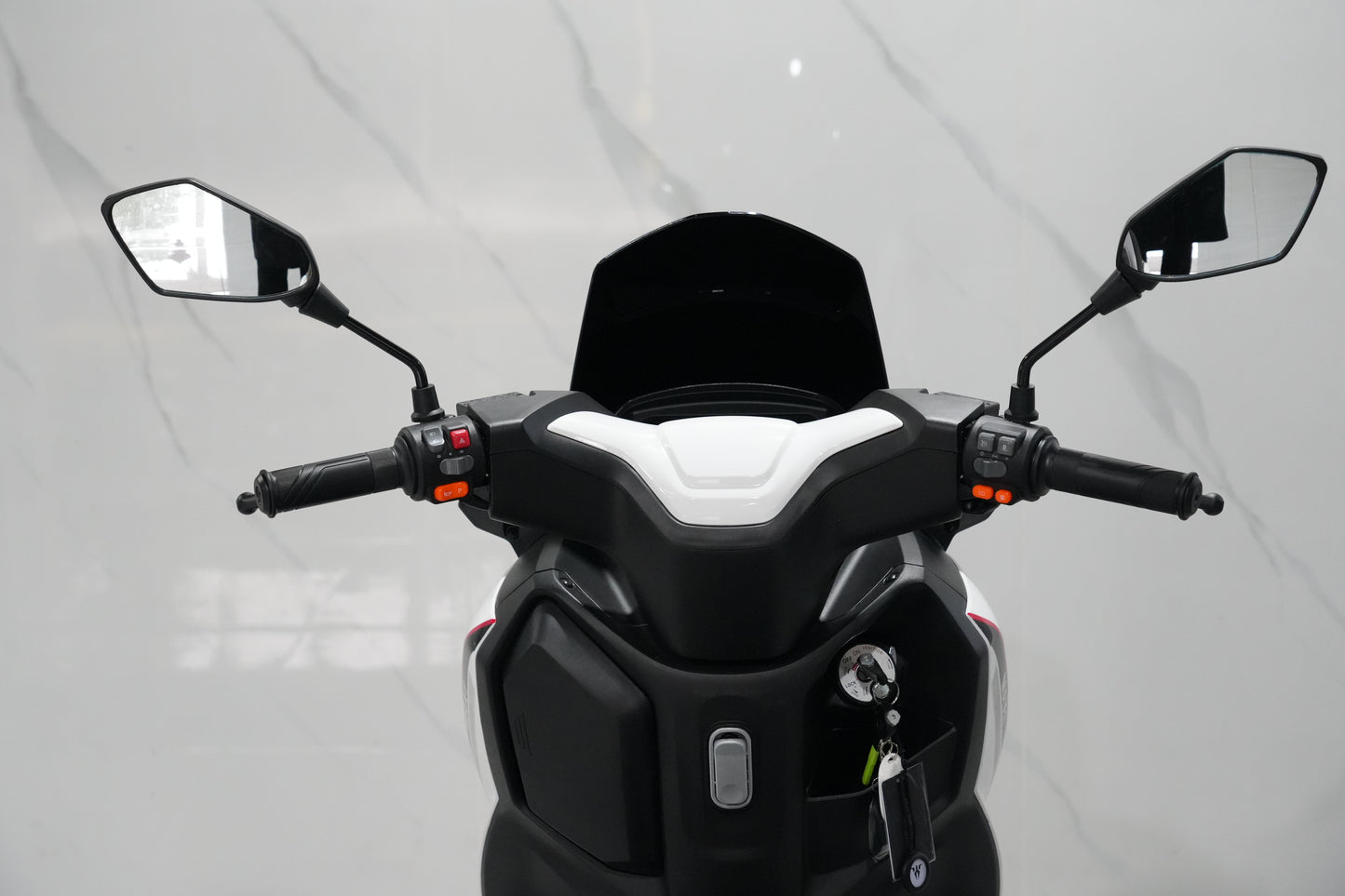 H310-Smilodon 2.0 Electric Motorcycle | CKD Complete Vehicle For Export