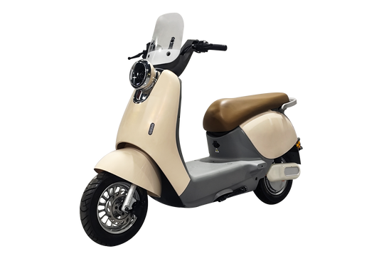 H303-Q80 Electric Motorcycle | CKD Complete Vehicle For Export